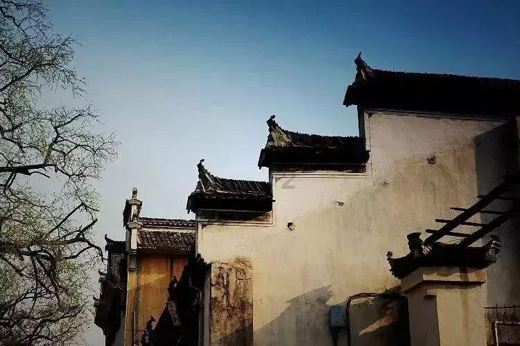 乐儿打彩蛋